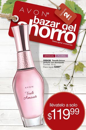 Avon Folleto Bazar de Ahorro Campaña 2/2018 descargar PDF